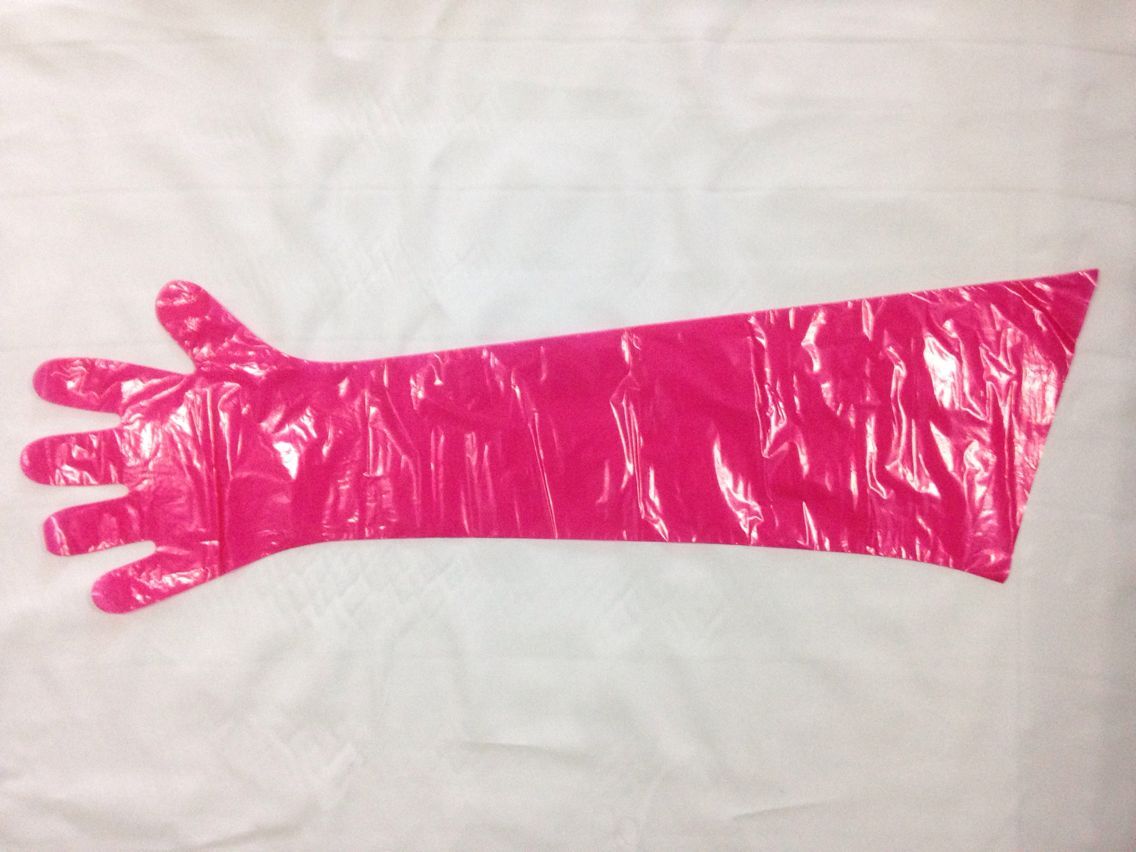 1610931609212585.jpg 1610931609212585.jpg